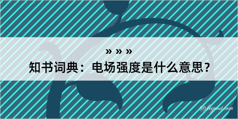 知书词典：电场强度是什么意思？