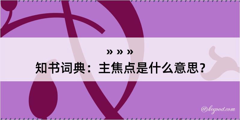 知书词典：主焦点是什么意思？