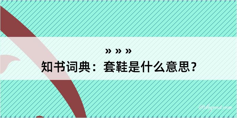 知书词典：套鞋是什么意思？