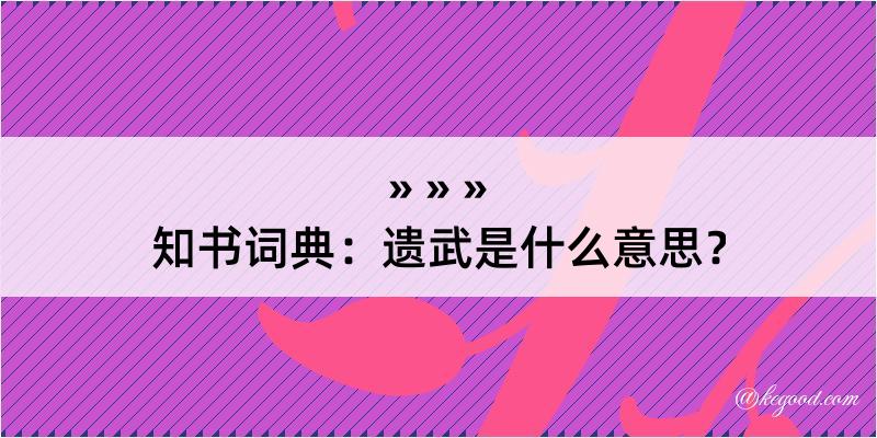 知书词典：遗武是什么意思？