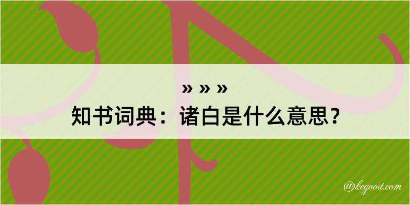 知书词典：诸白是什么意思？