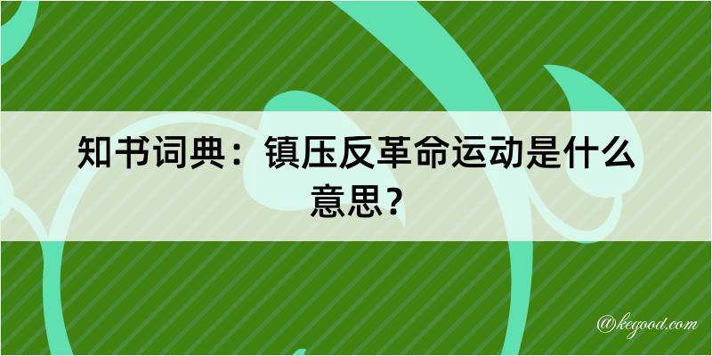 知书词典：镇压反革命运动是什么意思？