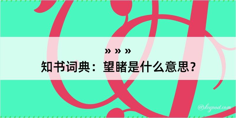 知书词典：望睹是什么意思？