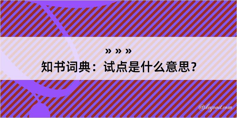 知书词典：试点是什么意思？