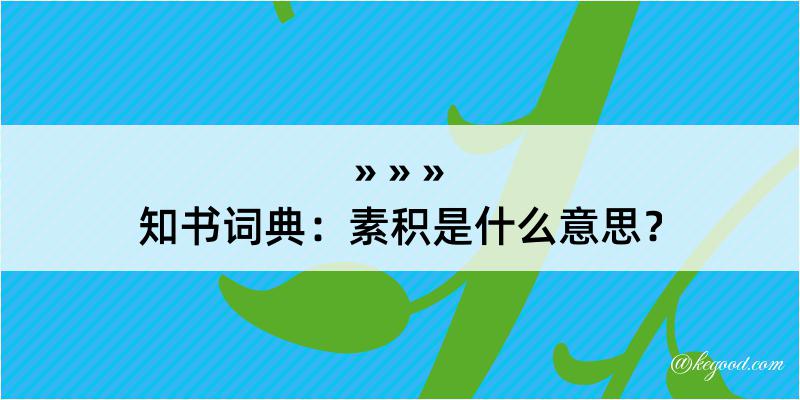 知书词典：素积是什么意思？