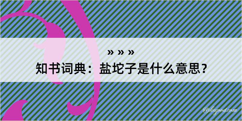 知书词典：盐坨子是什么意思？