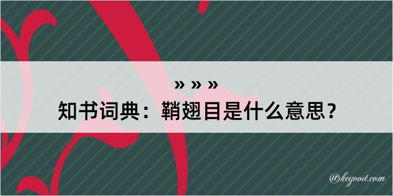 知书词典：鞘翅目是什么意思？