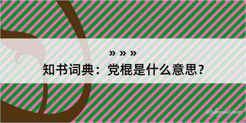 知书词典：党棍是什么意思？