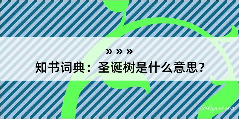 知书词典：圣诞树是什么意思？