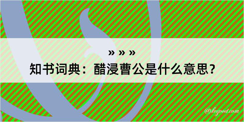 知书词典：醋浸曹公是什么意思？