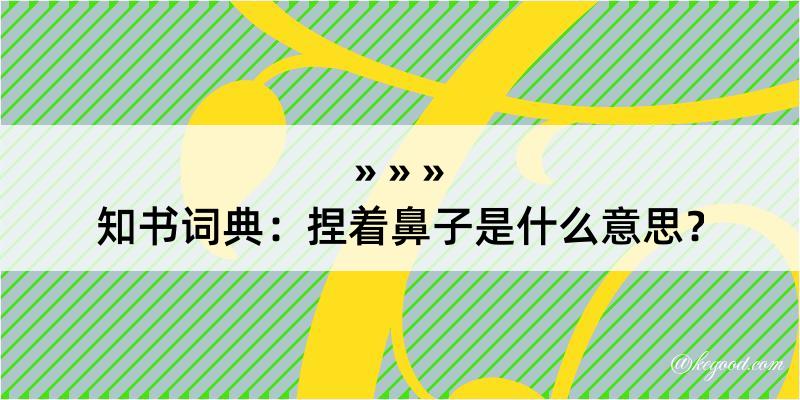 知书词典：捏着鼻子是什么意思？