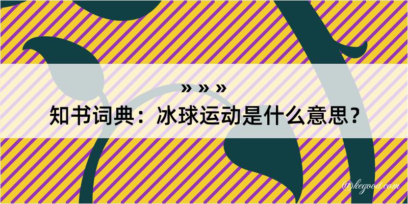 知书词典：冰球运动是什么意思？