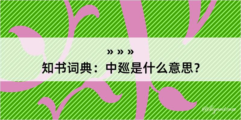 知书词典：中廵是什么意思？