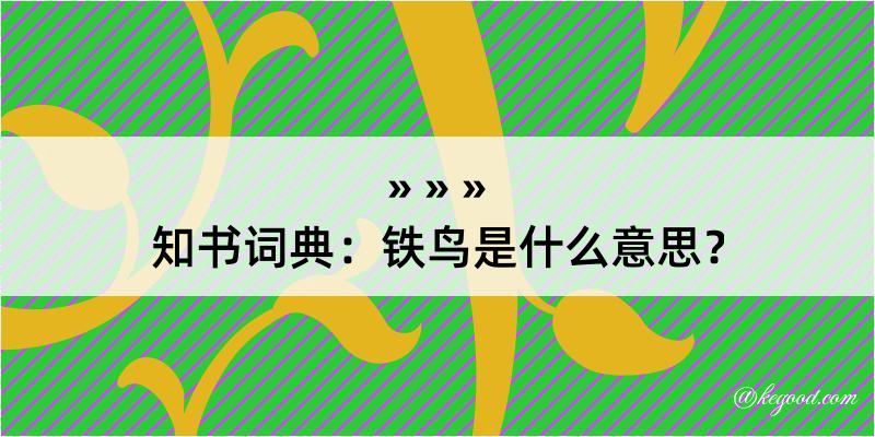 知书词典：铁鸟是什么意思？