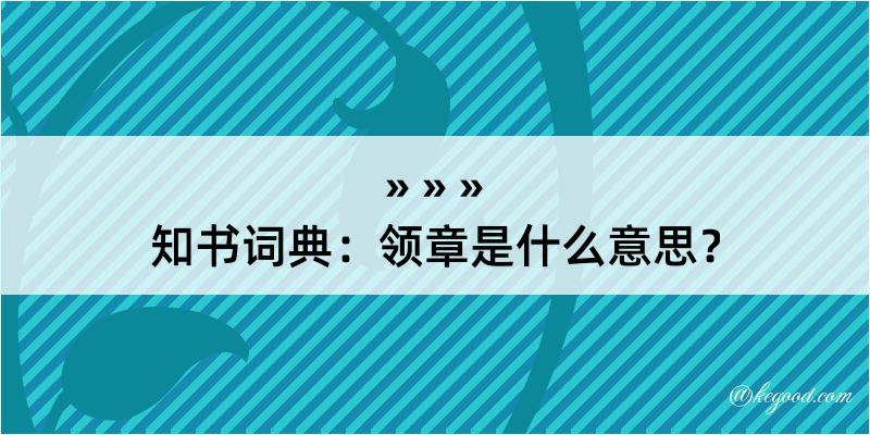 知书词典：领章是什么意思？