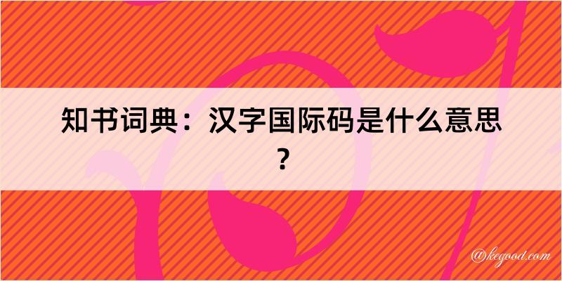 知书词典：汉字国际码是什么意思？