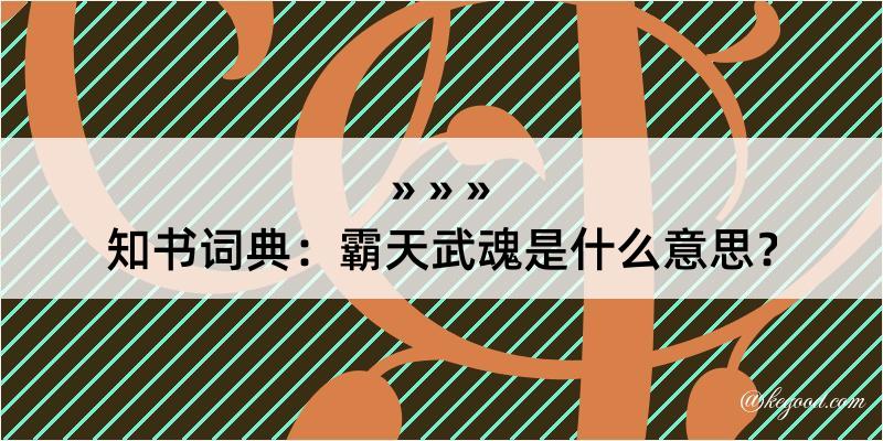 知书词典：霸天武魂是什么意思？