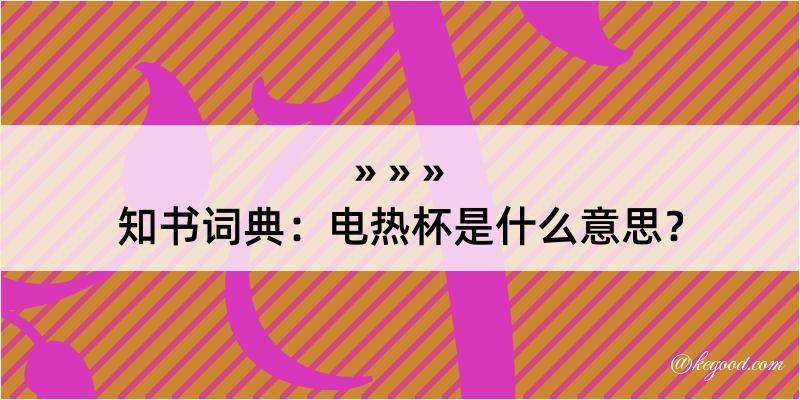 知书词典：电热杯是什么意思？