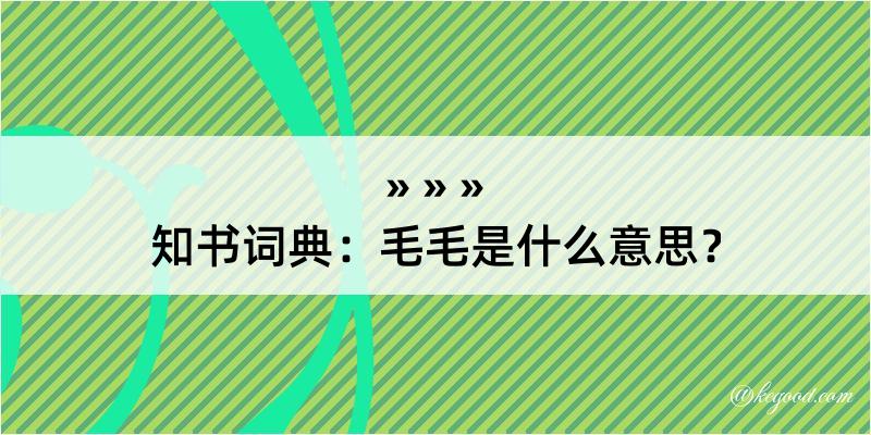 知书词典：毛毛是什么意思？