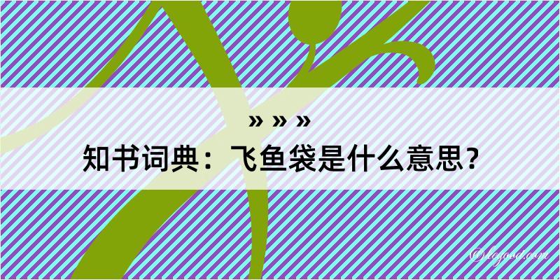 知书词典：飞鱼袋是什么意思？