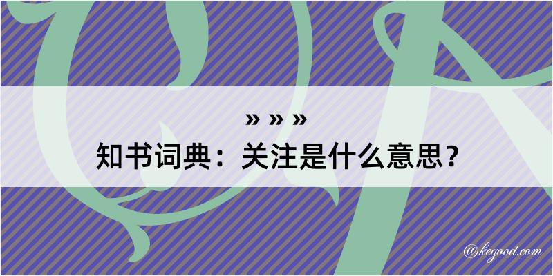 知书词典：关注是什么意思？