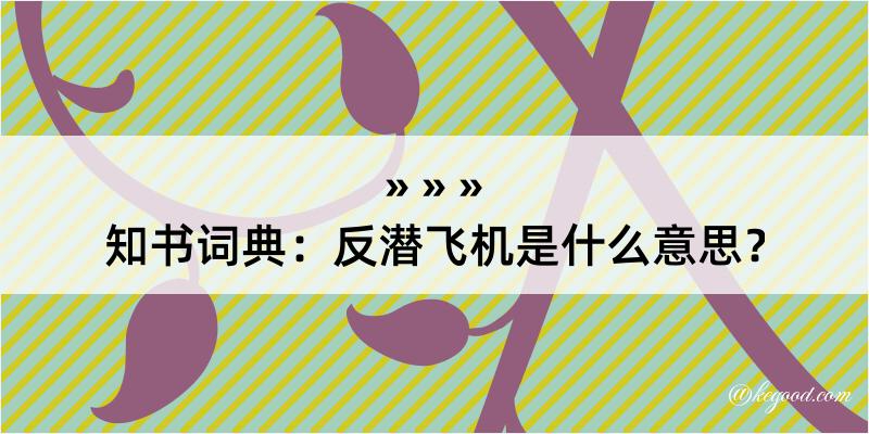 知书词典：反潜飞机是什么意思？