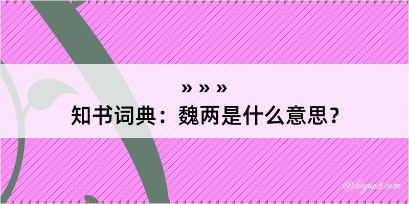 知书词典：魏两是什么意思？