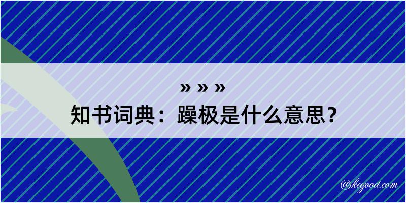 知书词典：躁极是什么意思？