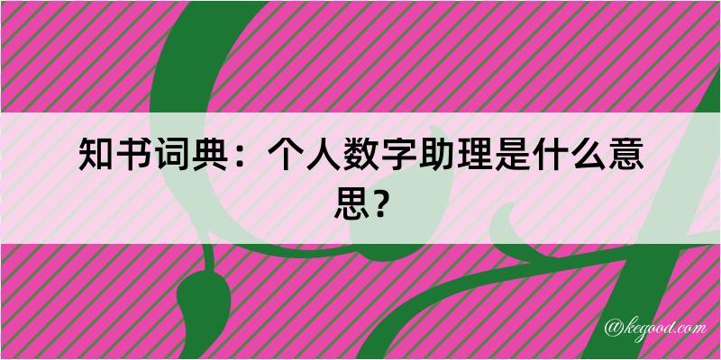 知书词典：个人数字助理是什么意思？