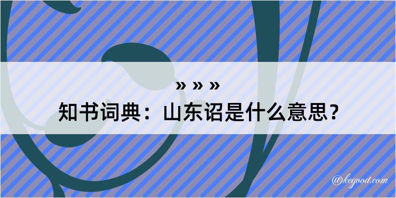 知书词典：山东诏是什么意思？