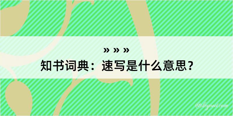 知书词典：速写是什么意思？