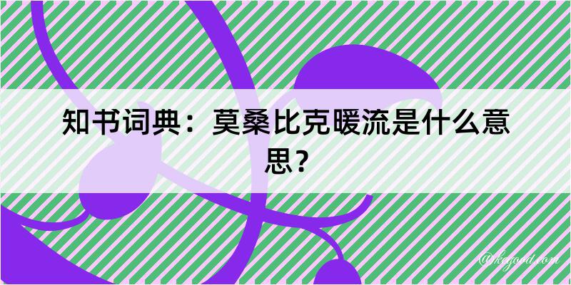 知书词典：莫桑比克暖流是什么意思？