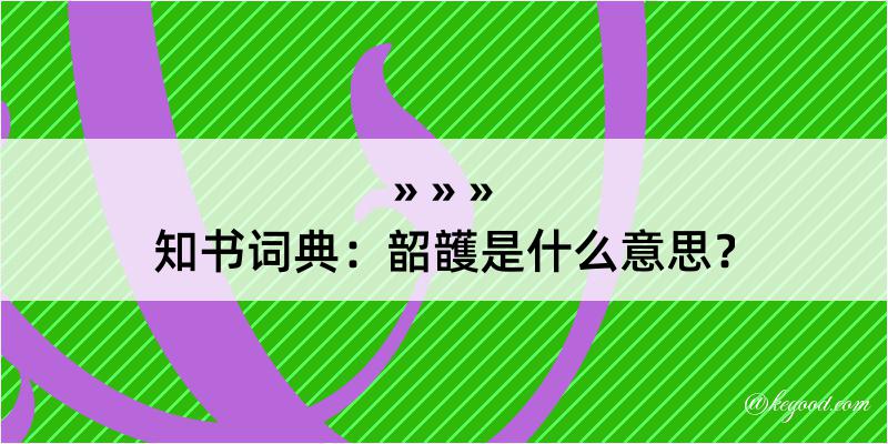 知书词典：韶頀是什么意思？