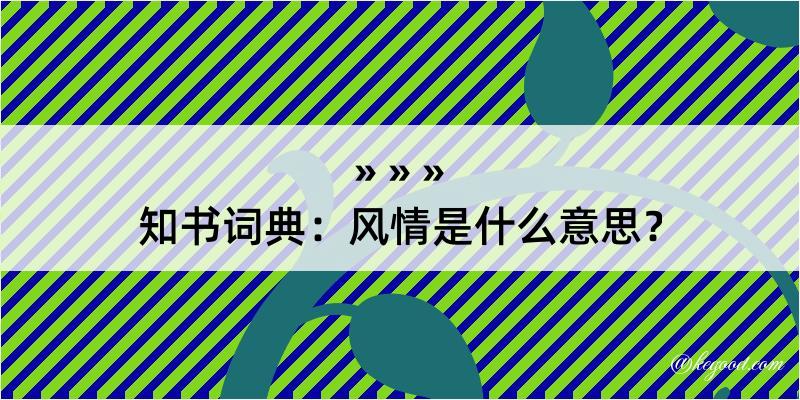 知书词典：风情是什么意思？