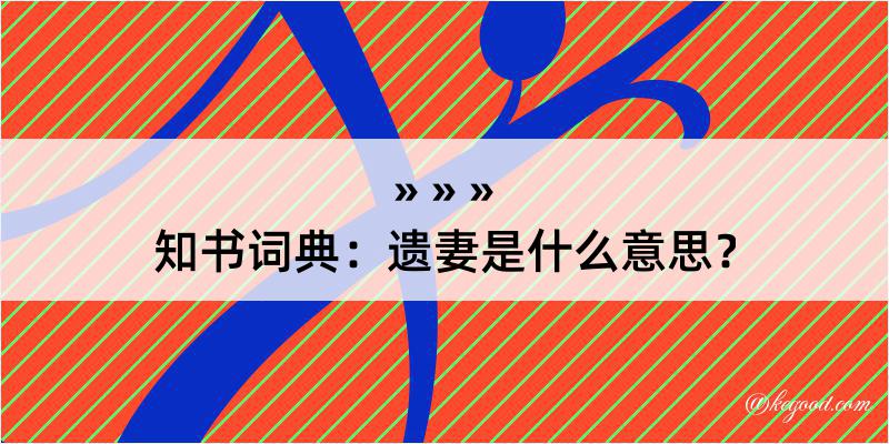 知书词典：遗妻是什么意思？