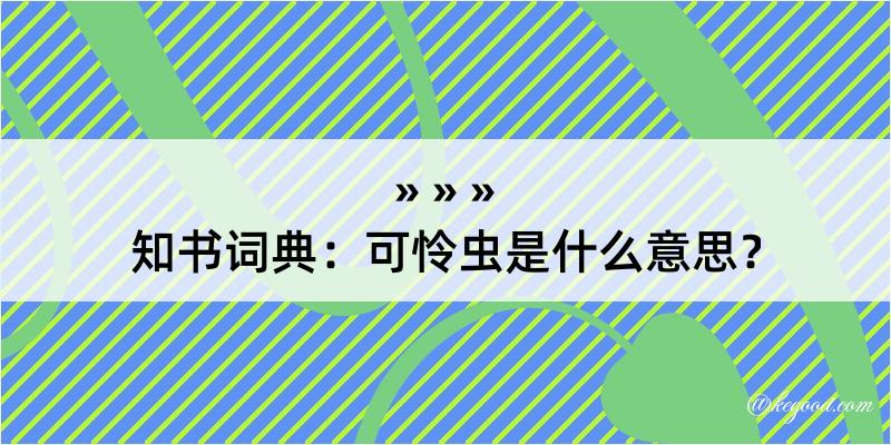 知书词典：可怜虫是什么意思？