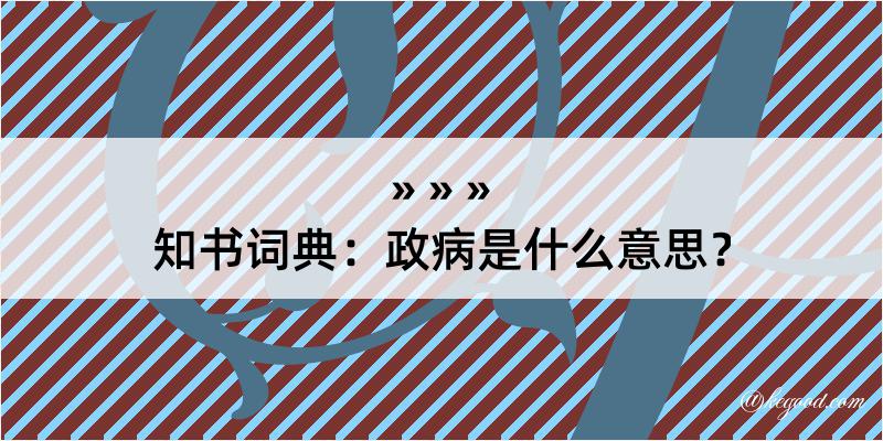 知书词典：政病是什么意思？