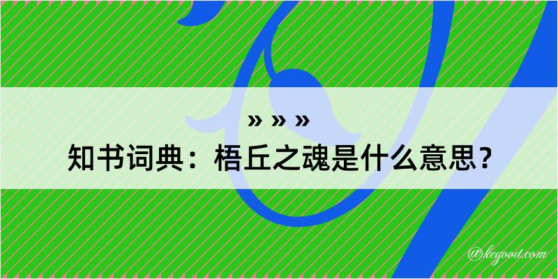 知书词典：梧丘之魂是什么意思？