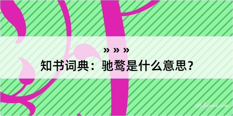 知书词典：驰鹜是什么意思？