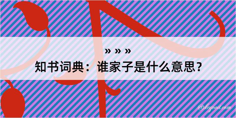 知书词典：谁家子是什么意思？