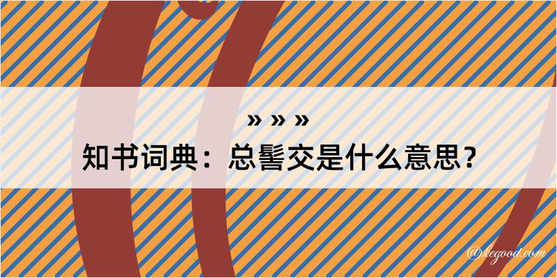 知书词典：总髻交是什么意思？