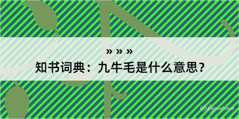 知书词典：九牛毛是什么意思？