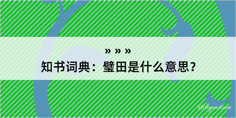 知书词典：璧田是什么意思？