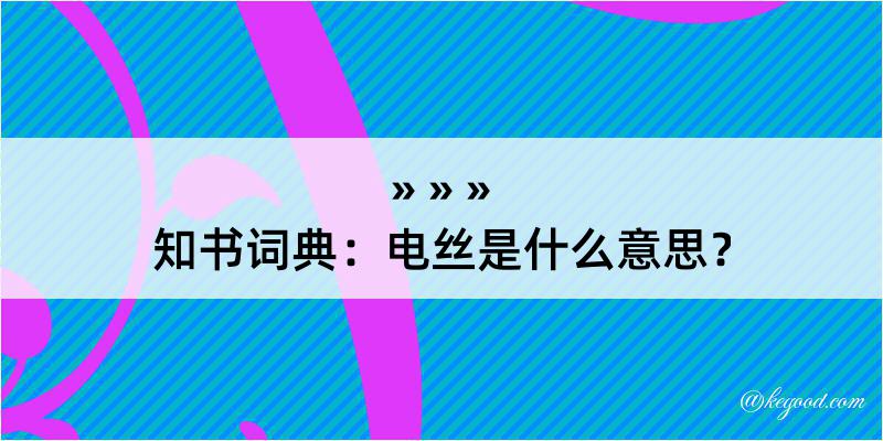 知书词典：电丝是什么意思？