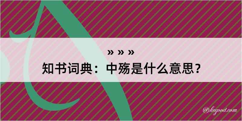 知书词典：中殇是什么意思？