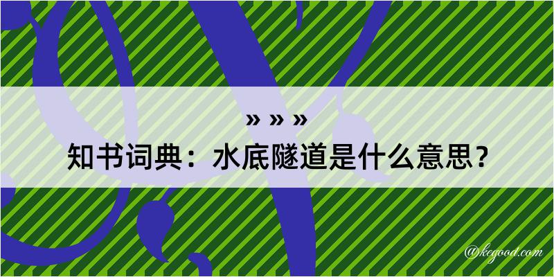 知书词典：水底隧道是什么意思？