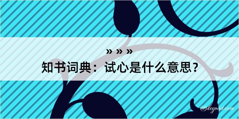 知书词典：试心是什么意思？