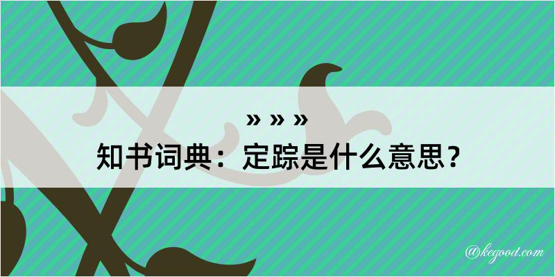 知书词典：定踪是什么意思？