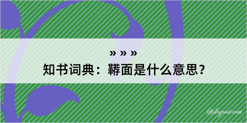 知书词典：鞯面是什么意思？