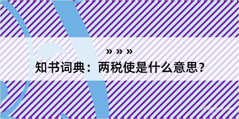 知书词典：两税使是什么意思？